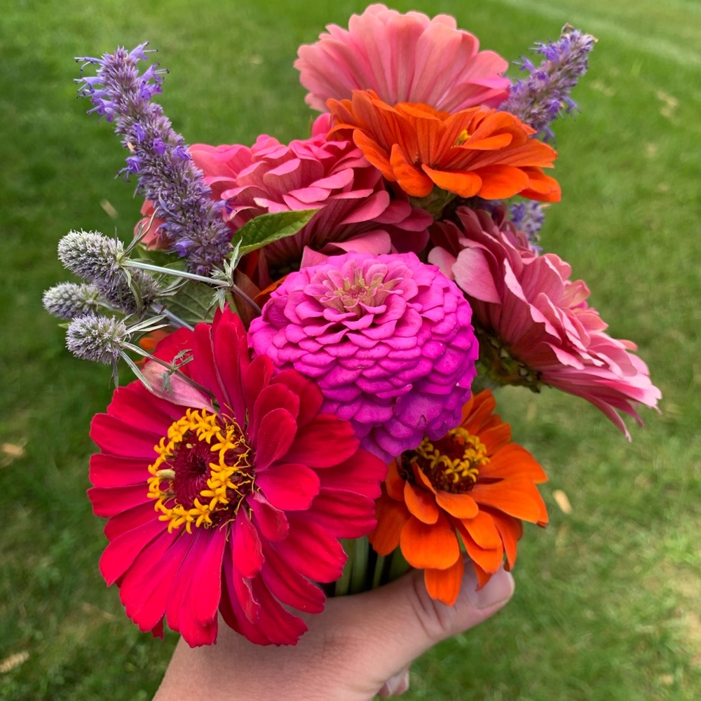 Meet your Posher, Analisa